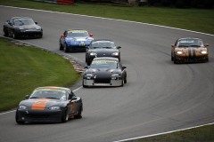 Falkenberg Classic