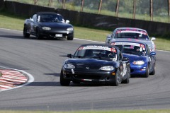 Falkenberg Classic