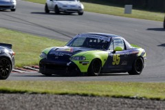 Falkenberg Classic