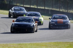 Falkenberg Classic