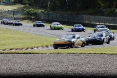 Falkenberg Classic