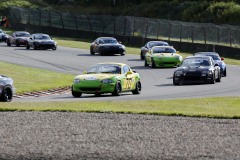 Falkenberg Classic