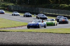 Falkenberg Classic