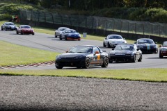 Falkenberg Classic