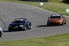 Falkenberg Classic